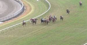 佐藤哲三騎手、引退