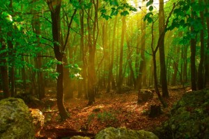 何があっても何かが変わる