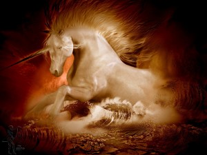 今日はフェブラリーステークス