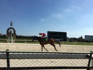 名古屋競馬場、ネット参戦から思いつきで現地へGO！
