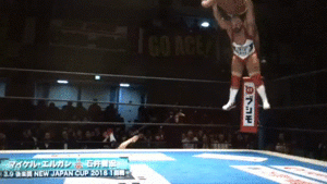 ニュージャパンカップ