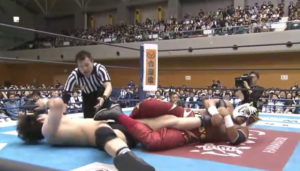 平成最後の日に虎と黒虎が笑顔でハグ。