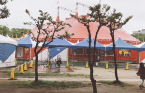 木下大サーカスを見に行ったことで「プロレスはサーカス」という嫌味がポジティブなものに変化した。