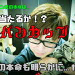 空前絶後のジャパンカップなんです