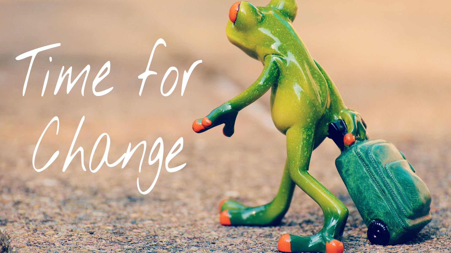 鈴木軍が解散を発表